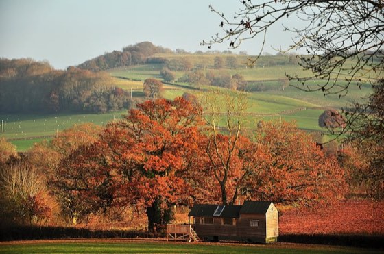 The Redwood, a hut in Herefordshire, England