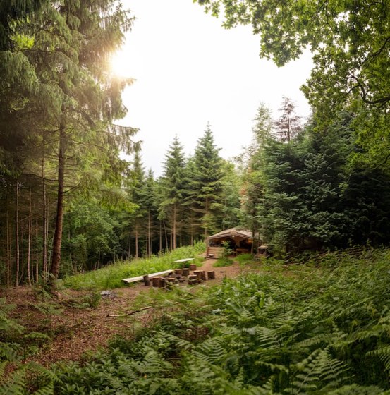 May Hill Woodlands Safari Tent, a tent in Gloucestershire, England